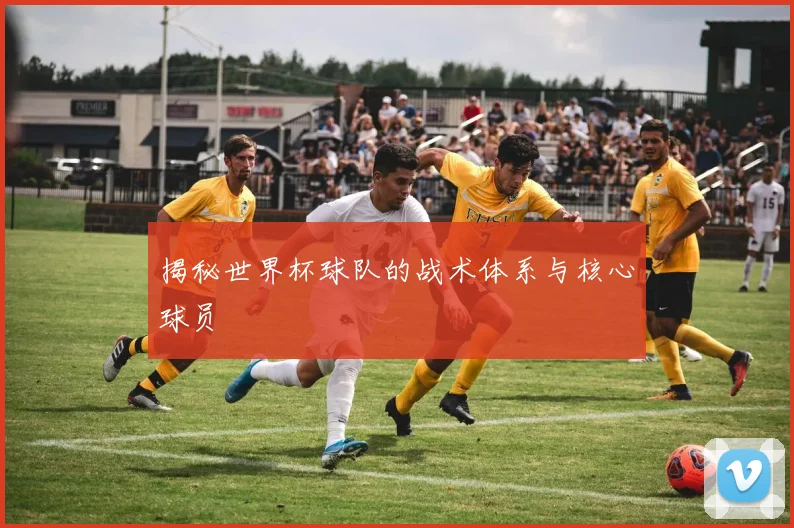 揭秘世界杯球队的战术体系与核心球员