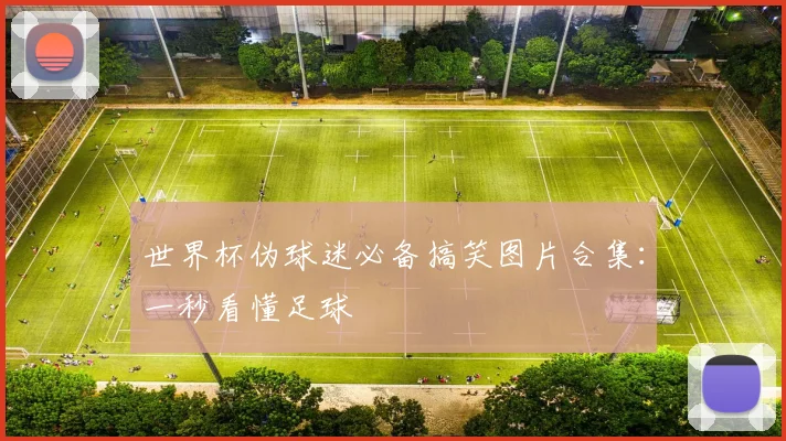 世界杯伪球迷必备搞笑图片合集:一秒看懂足球