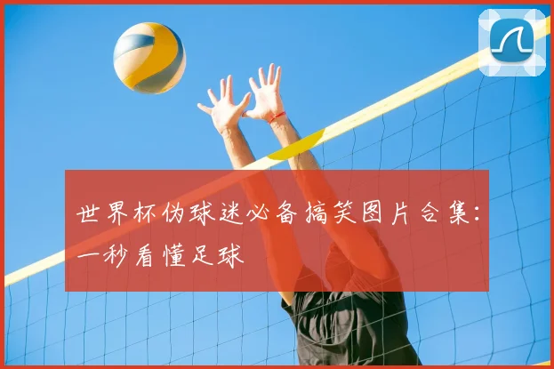 世界杯伪球迷必备搞笑图片合集:一秒看懂足球