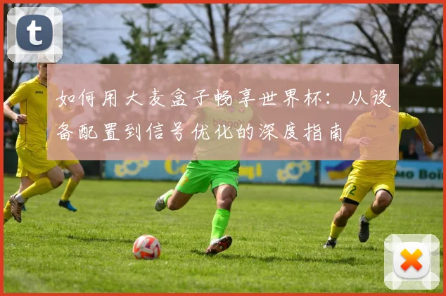 如何用大麦盒子畅享世界杯:从设备配置到信号优化的深度指南